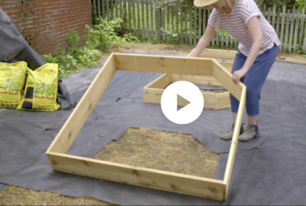 how to build a raised garden bed