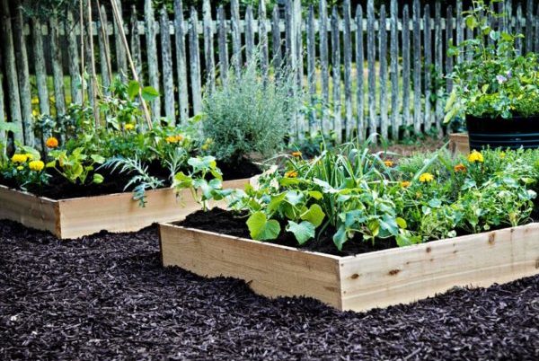 how to fill your raised garden bed