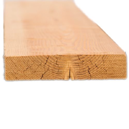 Douglas Fir