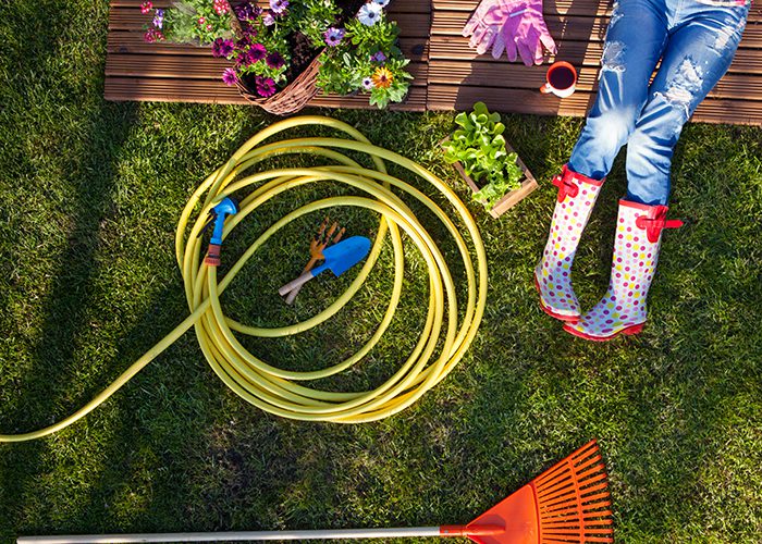 lawn and garden