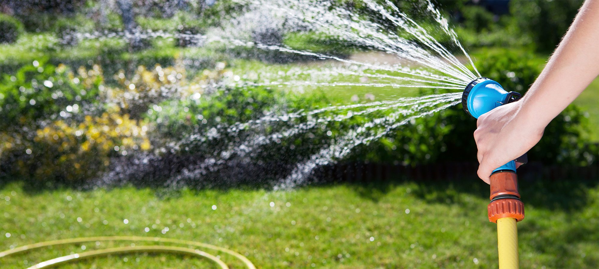 water hose watering lawn